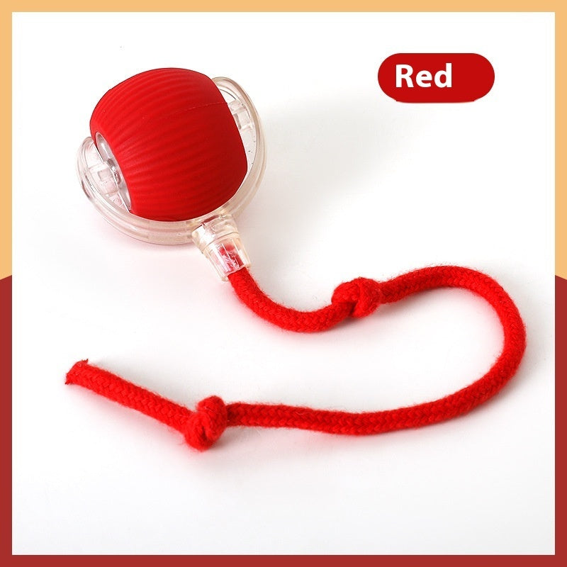 Automatic motion activated cat toy ball for high energy cats