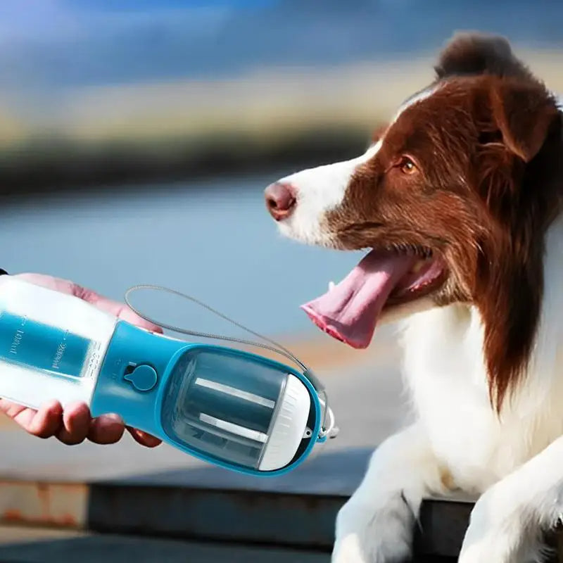 Multifunctional pet water cup drinking food garbage bag dispenser