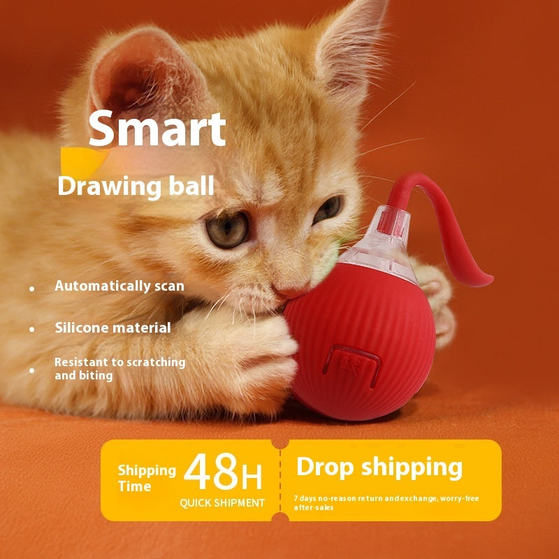Cat playing with interactive rolling ball toy on floor