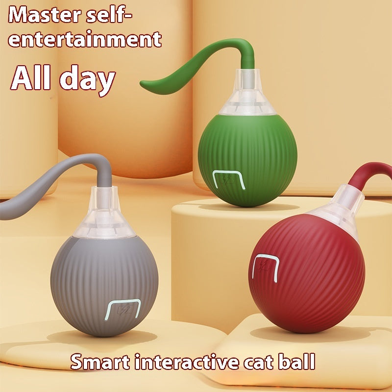 Interactive cat toy ball with 3 speed modes LED lights