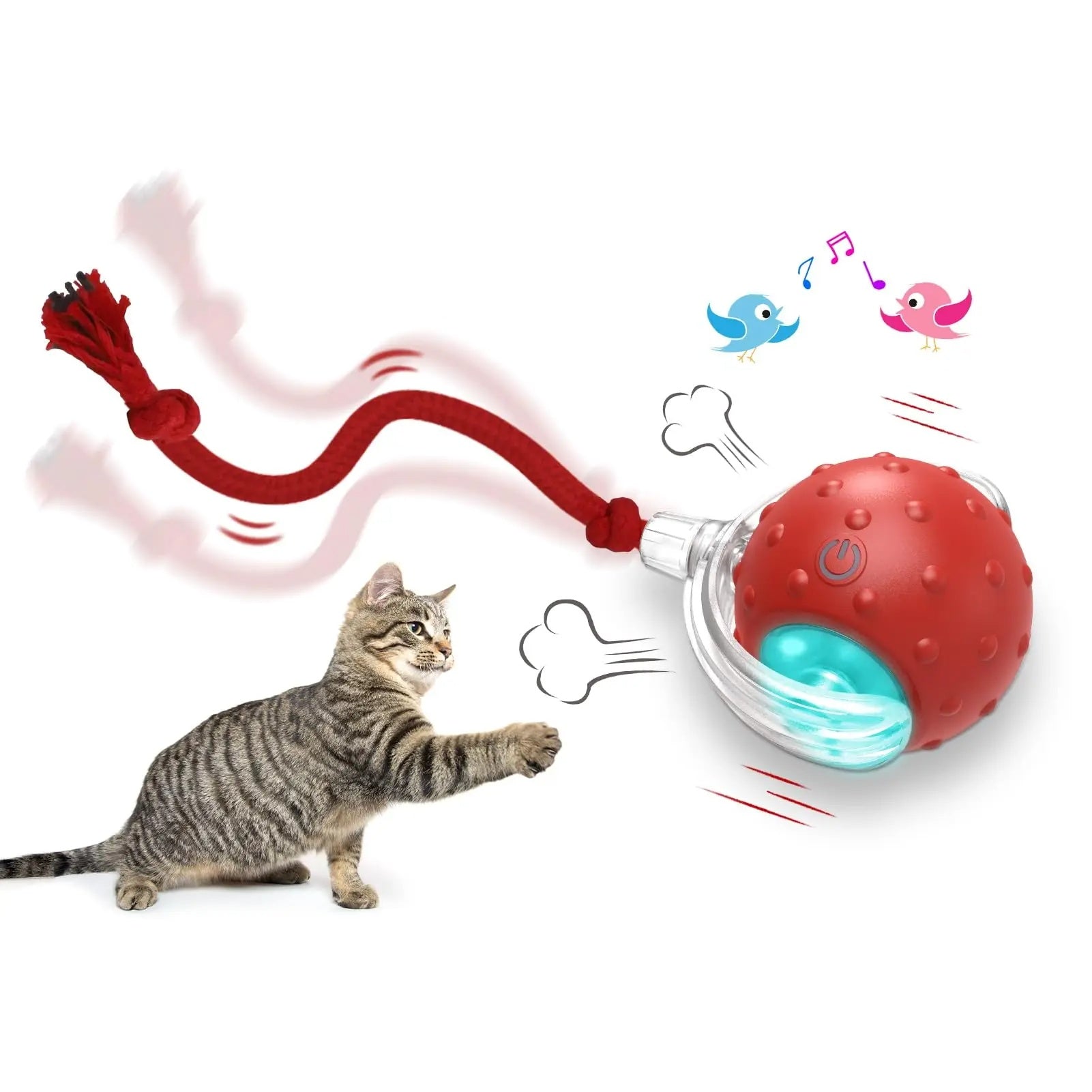 Interactive cat toy ball entertaining high energy cats for hours