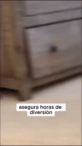 Juguete Pelota Recargable Para Mascota