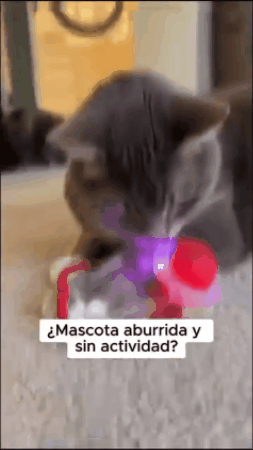 Juguete Pelota Recargable Para Mascota