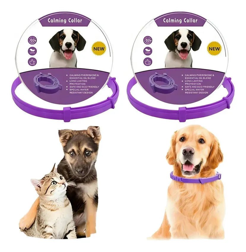 Kit Relax 3 en 1 – Collar Calmante para Perros - PetBerly