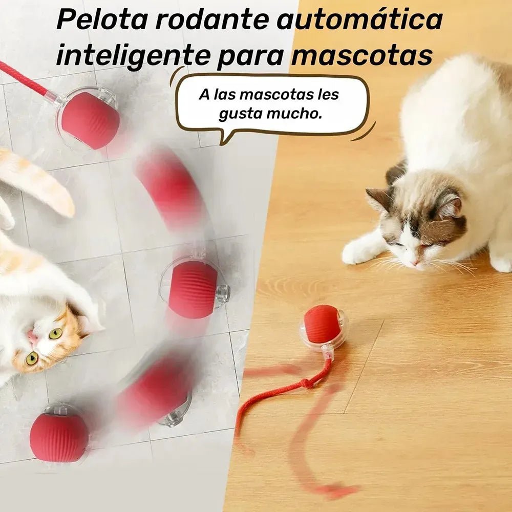 Juguete Pelota Recargable Para Mascota - PetBerly