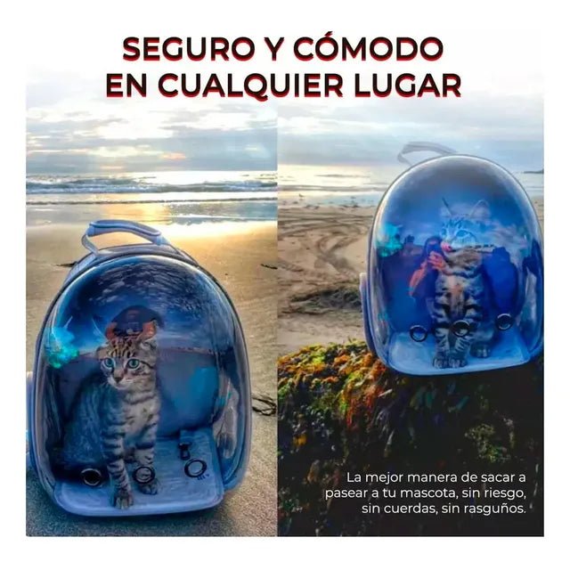 CAPSULA PARA MASCOTAS - PetBerly
