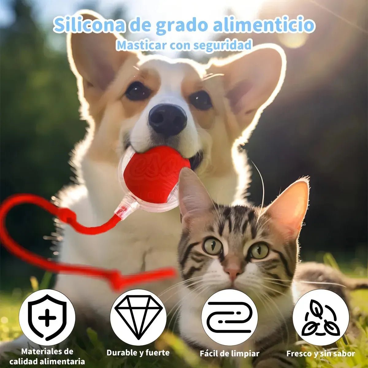 Juguete Pelota Recargable Para Mascota - PetBerly