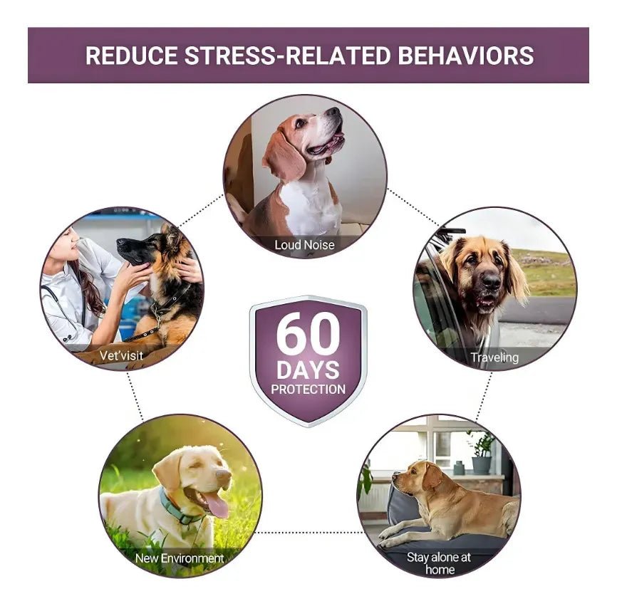 Kit Relax 3 en 1 – Collar Calmante para Perros - PetBerly
