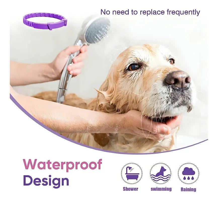 Kit Relax 3 en 1 – Collar Calmante para Perros - PetBerly