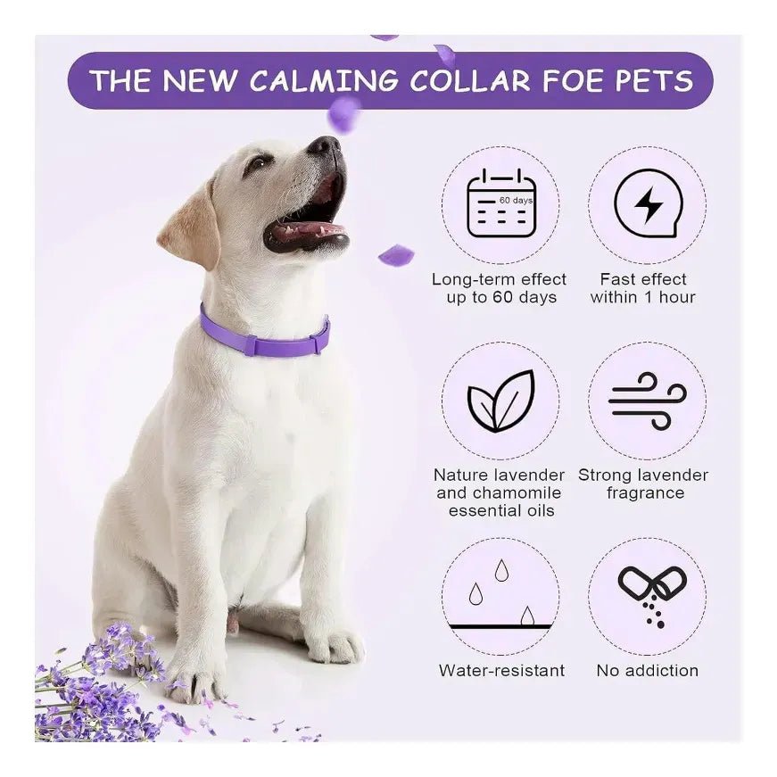 Kit Relax 3 en 1 – Collar Calmante para Perros - PetBerly